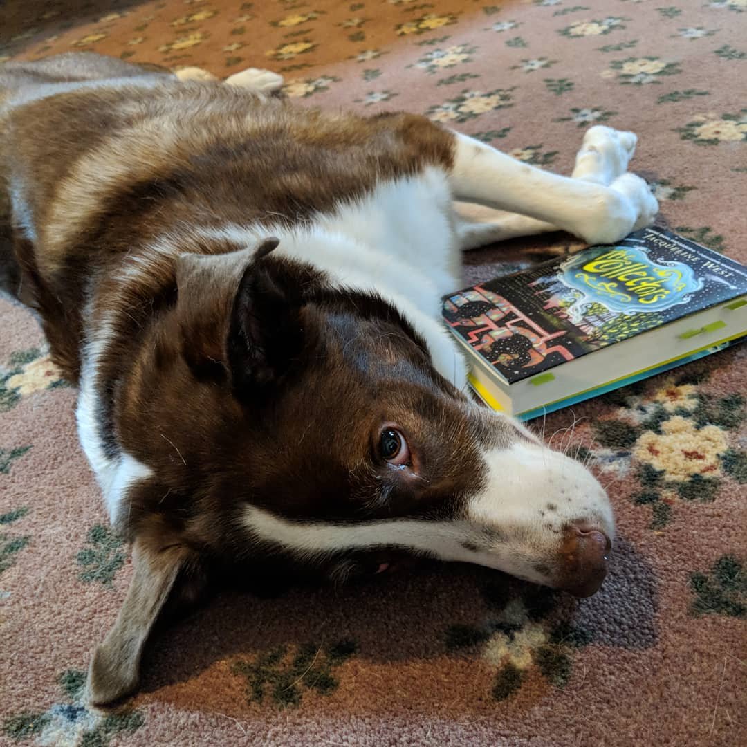 Brom with Collectors