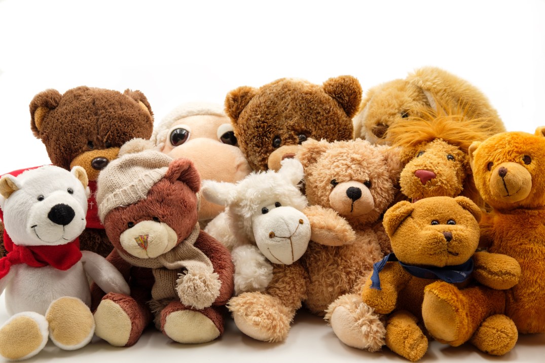 Canva - Fluffy Stuffed Animals